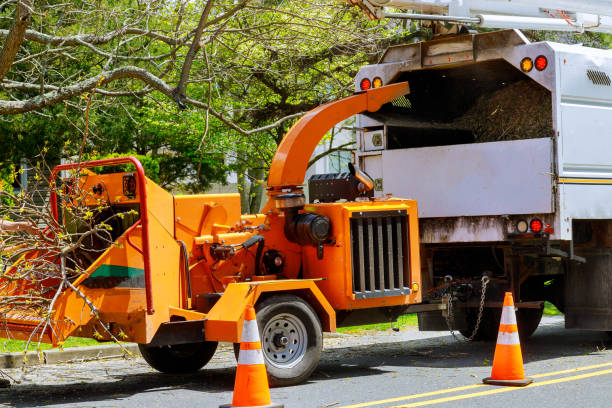 Best Tree Mulching  in Winsted, CT